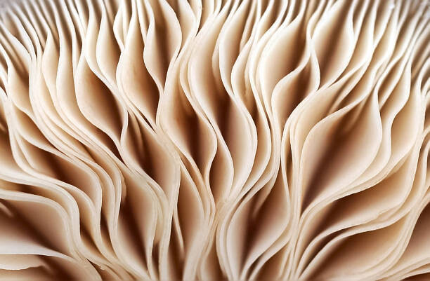 Poster Full frame shot of abstract pattern