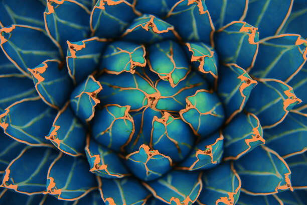 Poster green leaves for background and wallpaper