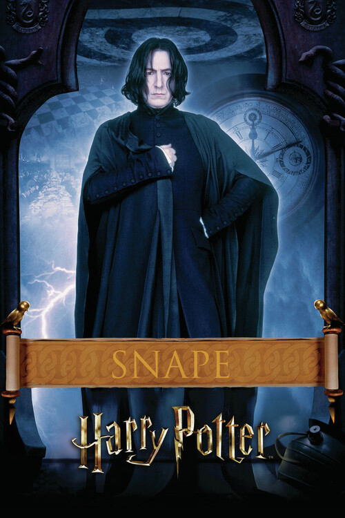 Poster Harry Potter - Snape