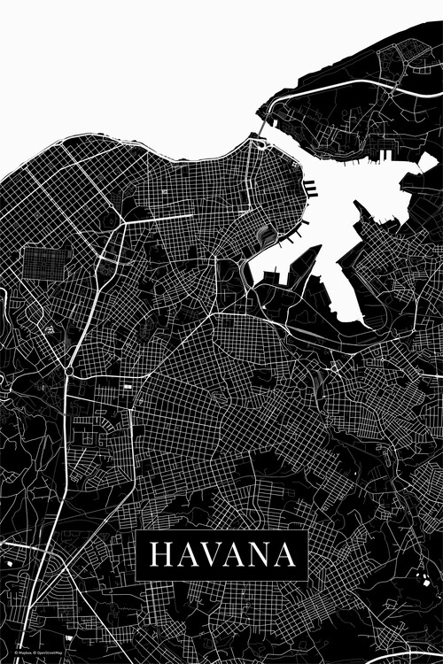 Poster Havana black