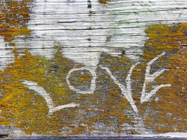 Poster Love Text In Lichen
