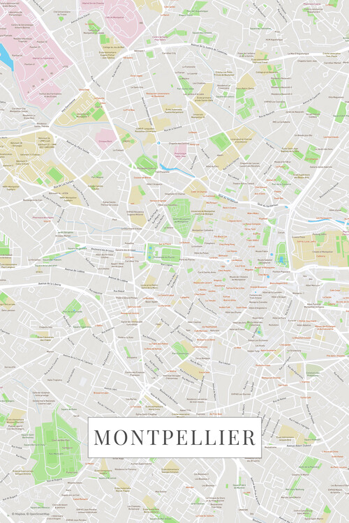 Poster Montpellier color