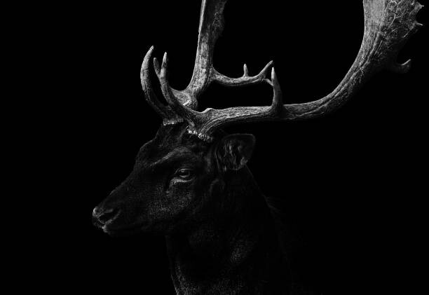 Poster Perchtoldsdorf,Austria