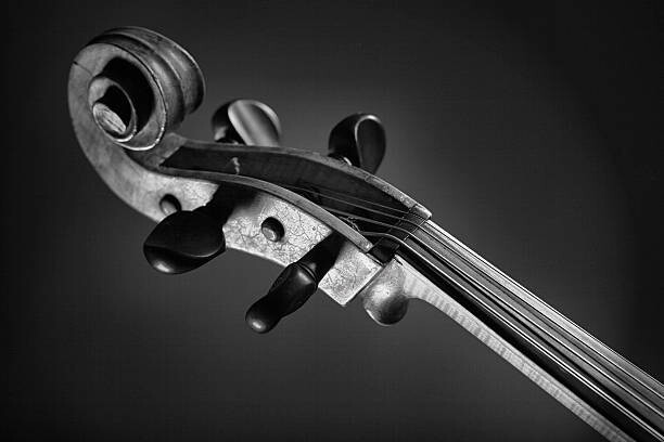 Poster Violin's fingerboard