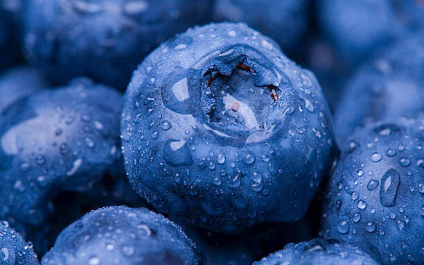 Poster Wet Blueberry Closeup