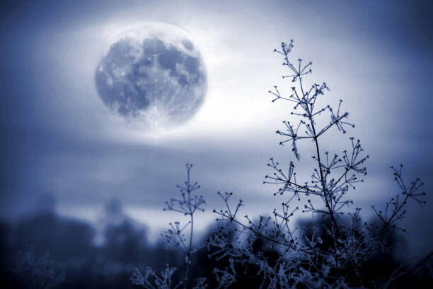 Poster Winter night mystical scenery. Full moon
