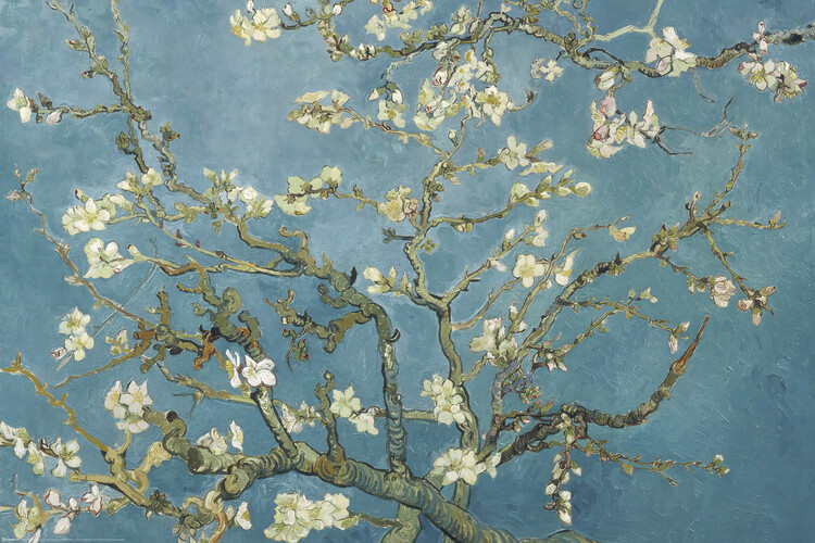 Poster Almond Blossoms