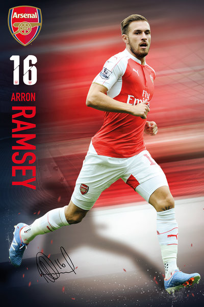 Arsenal Football Club Crest Soccer Sports Poster 16 x 20 inches
