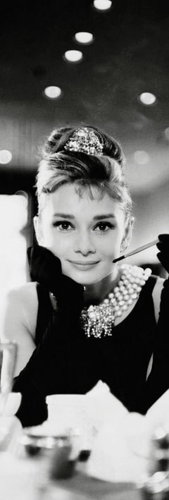 Audrey Hepburn smoking Metallschild 20x30cm Blechschild 998