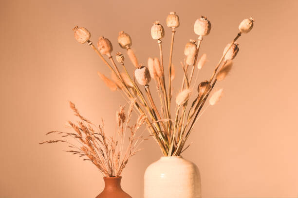 Poster Beautiful arrahgement of dried plants