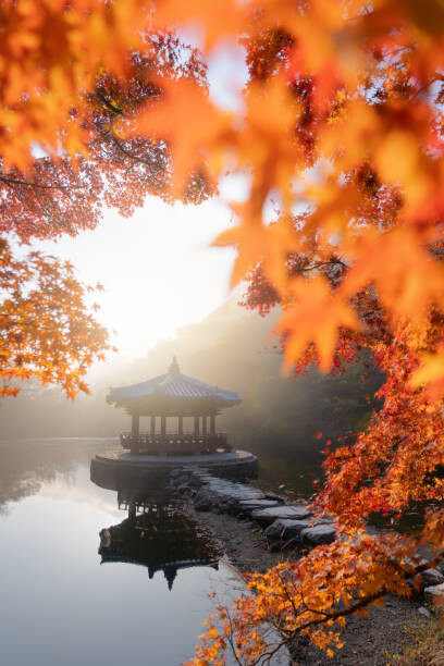 Poster Beautiful Autumn scene of Naejangsan national