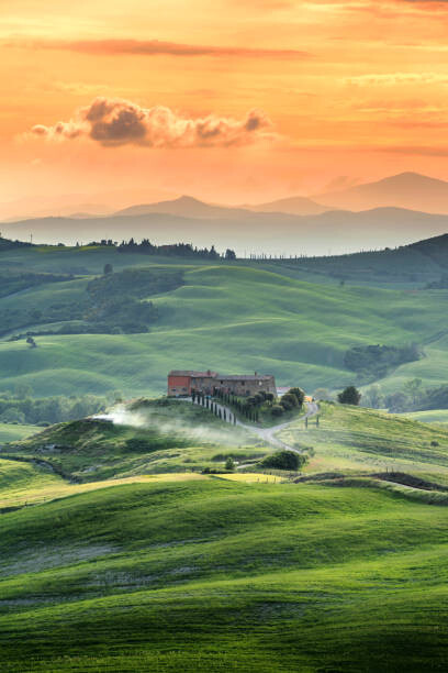Poster Beautiful summer landscape in Tuscany, Italy.