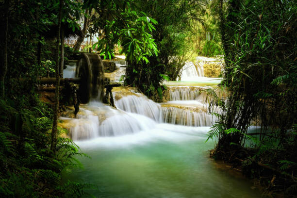 Poster Beautiful view of Deep forest waterfall landscape.