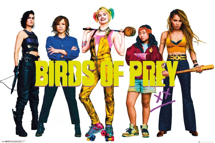 Poster Birds Of Prey - Group