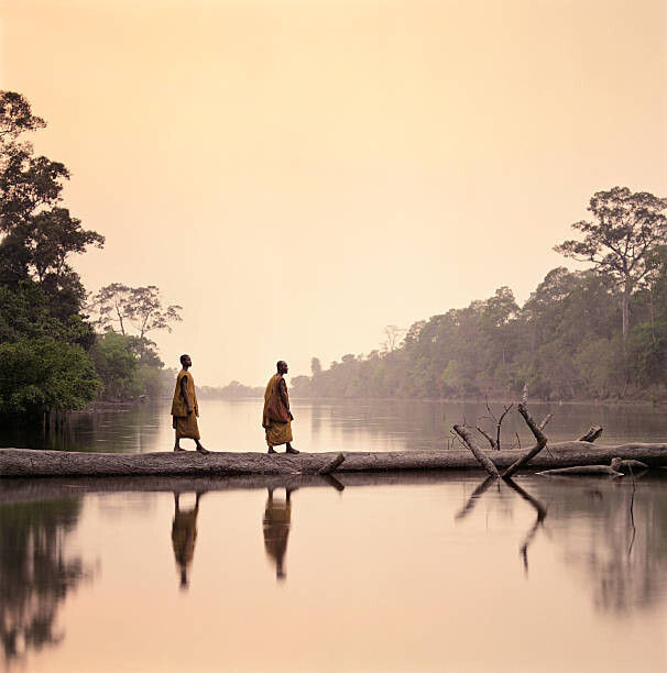 Poster Buddhist Monks walking along submerged tree