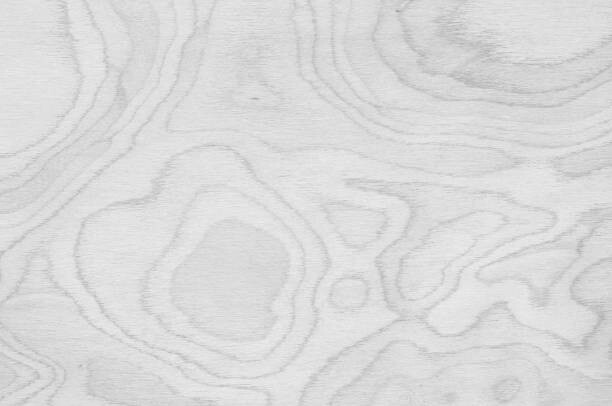 Poster Closeup surface abstract wood pattern at