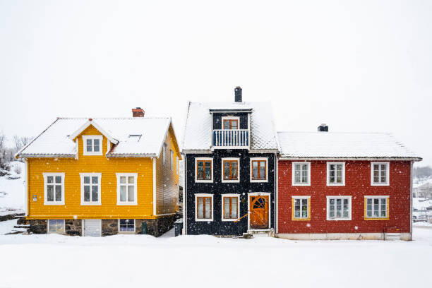 Poster Colorful houses under heavy snowfall