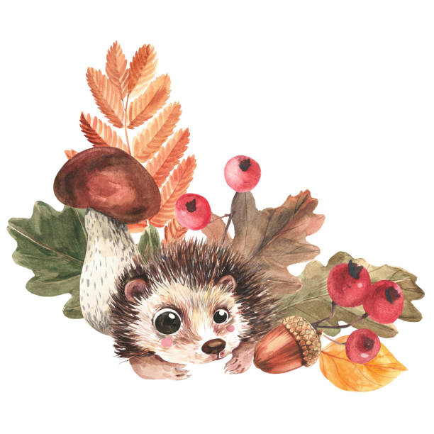 Poster Corner composition of hedgehog, mushrooms, falling