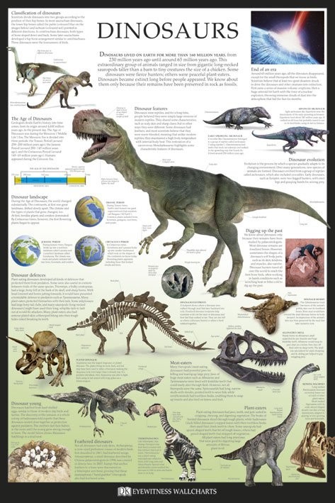 Dinosaur Evolution Poster, Dinosaur Poster Paintings