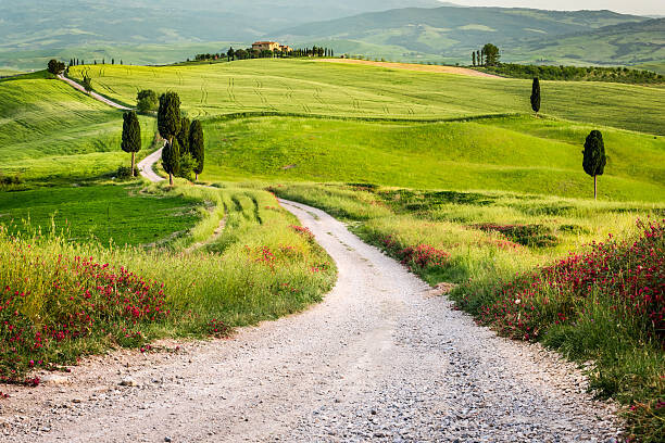 Poster Dirt road and green field in Tuscany