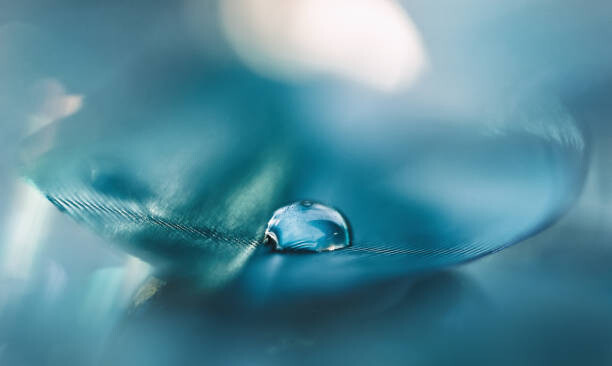Poster Feathers aqua blue color with a