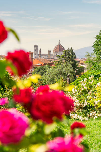 Poster Florence, Tuscany, Italy. Roses and cityscape