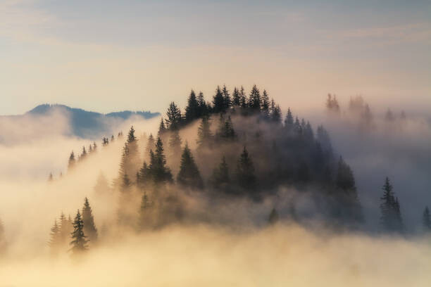 Poster Foggy sunrise in the mountains in summer
