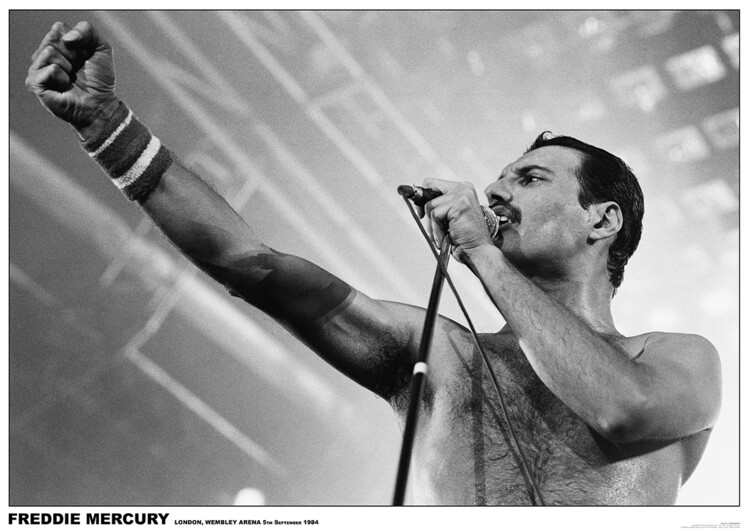 Poster Freddie Mercury - Wembley 1984