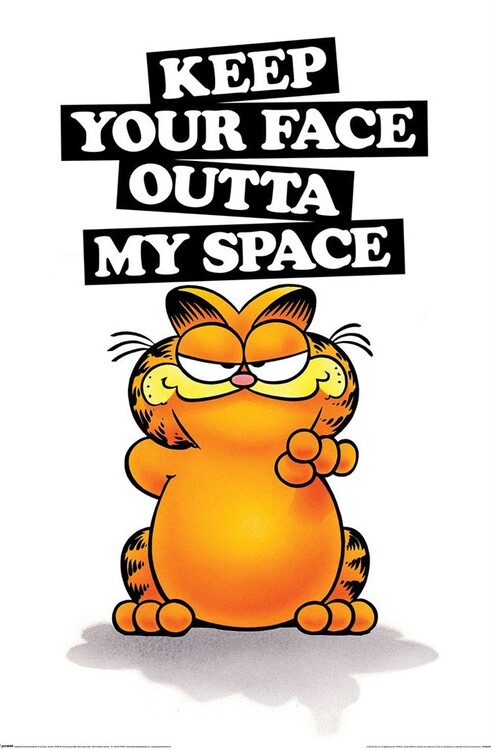 Poster Garfield - Keep Your Face