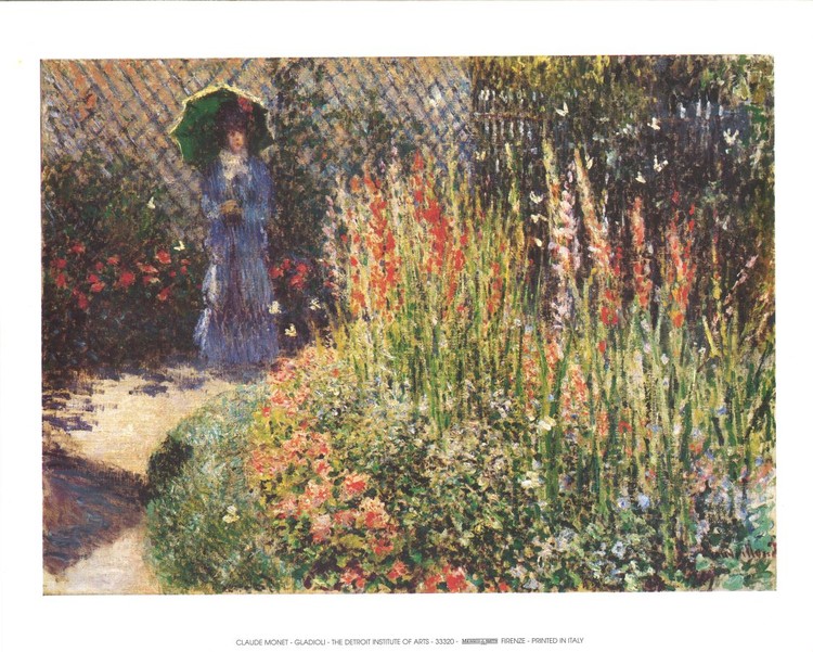 Gladioli Art Print