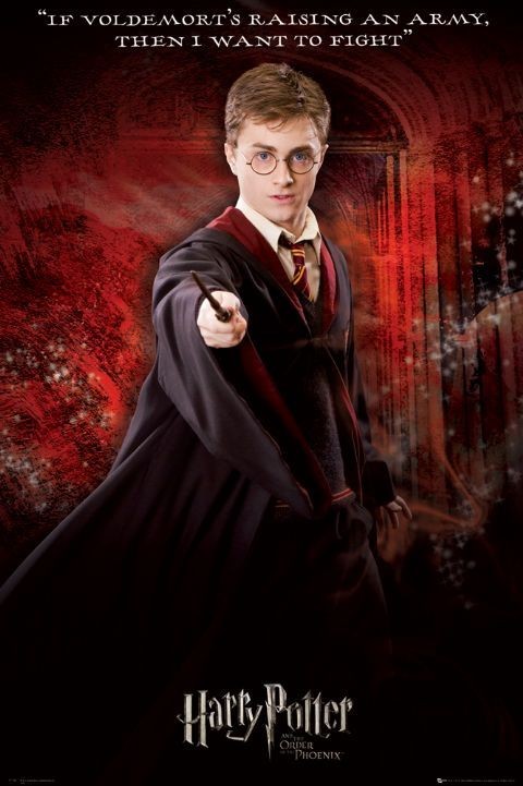 Poster HARRY POTTER 5 - solo | Wall Art, Gifts & Merchandise 