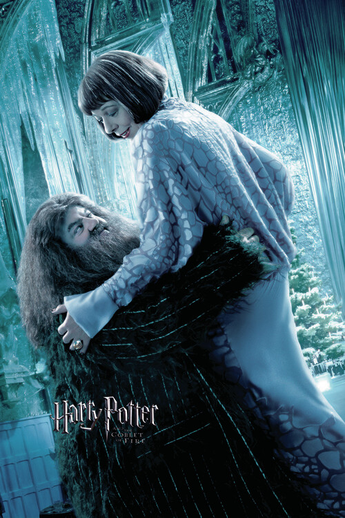 Poster Harry Potter and the Goblet of Fire - Hagrid