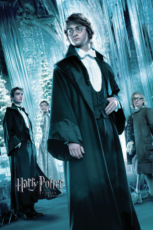 Poster Harry Potter and the Goblet of Fire - Harry