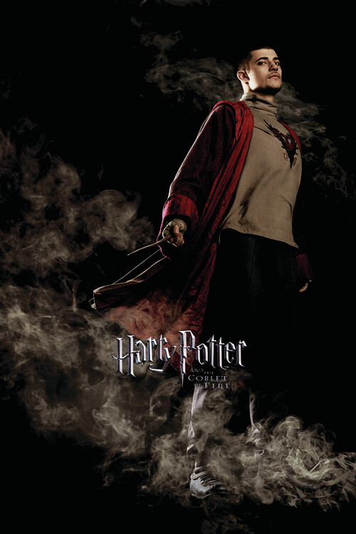 Poster Harry Potter and the Goblet of Fire - Krum