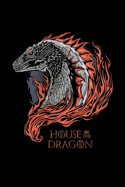 Poster House of Dragon - Dragon in Fire