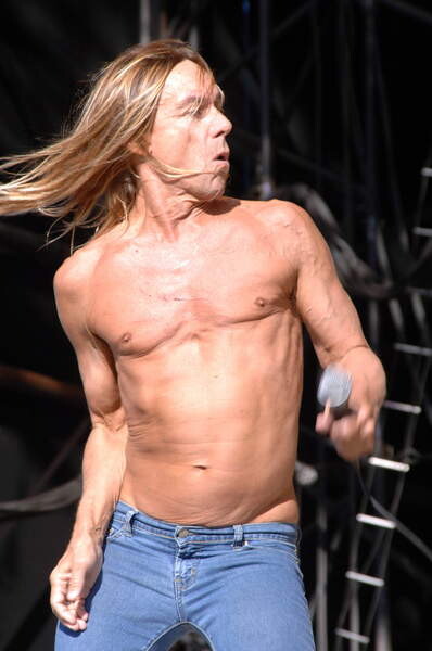Poster Iggy Pop - portrait