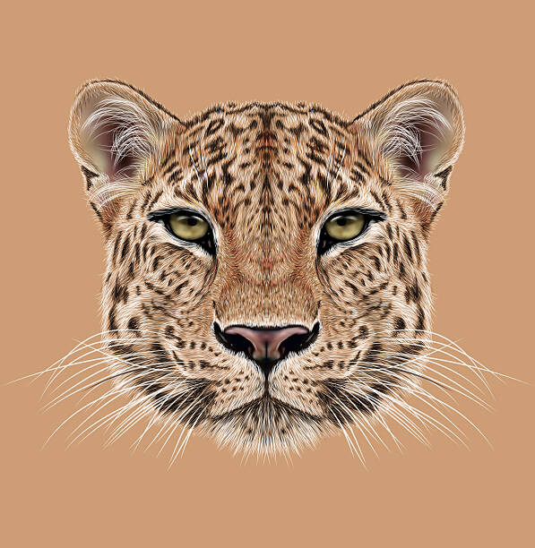 Poster Illustrative Portrait of Leopard