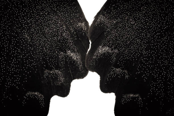 Плакат Isolate butterfly wings in black and white