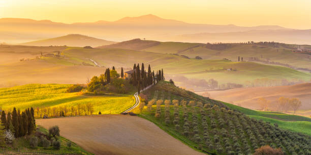 Poster Italy, Tuscany, San Quirico D'Orcia, Podere