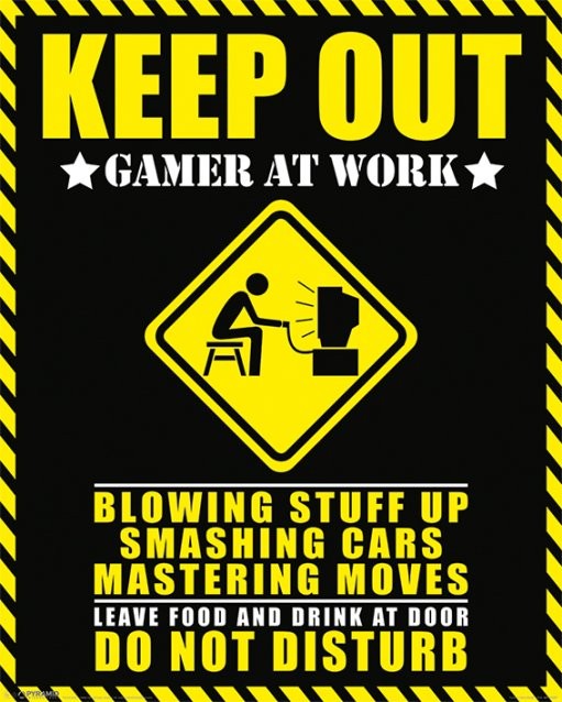 Keep Out Gamer at Work Poster Sold at Europosters