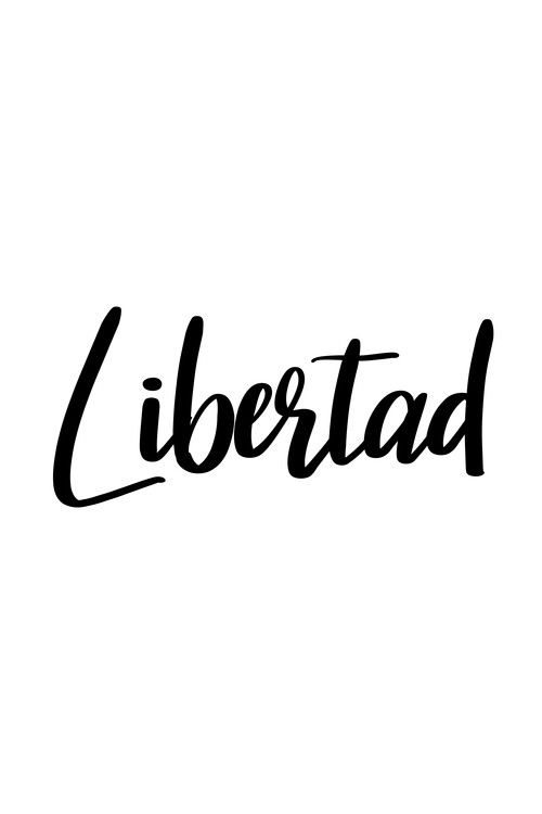 Poster Libertad