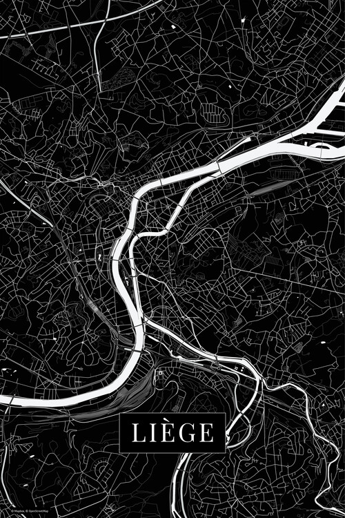 Poster Liege black