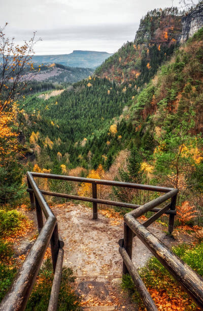 Poster Lookout in autumn forest at Bohemian Switzerland
