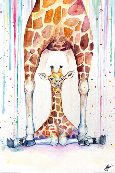 Poster Marc Allante - Gorgeous Giraffes