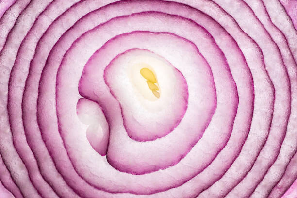 Poster Onion Slices Full Frame Close Up Shot