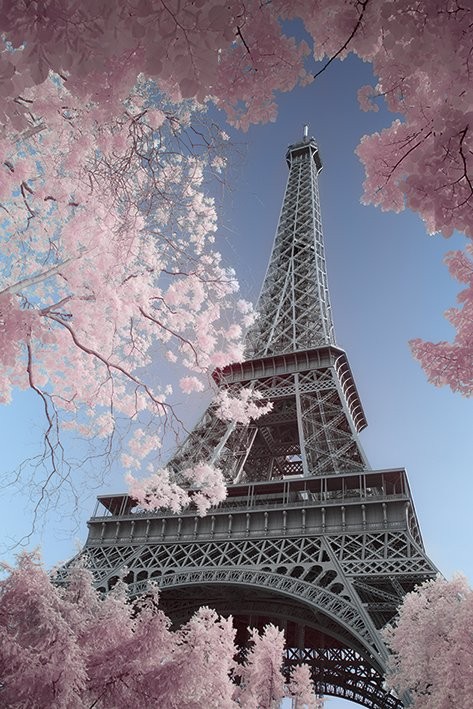 Paris - Eiffel Tower, David Clapp Poster | Sold at Europosters
