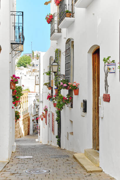 Poster Picturesque narrow street with flowerpots in