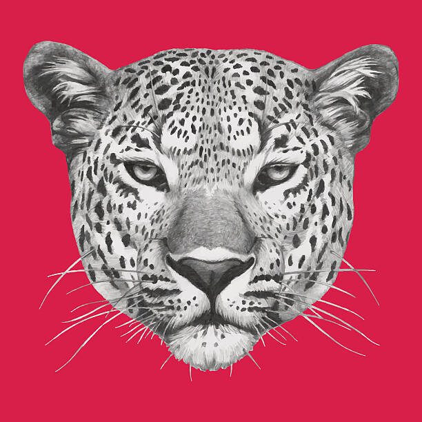 Poster Portrait of Leopard.