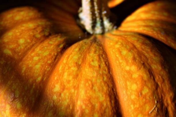 Плакат Pumpkin Skin Texture
