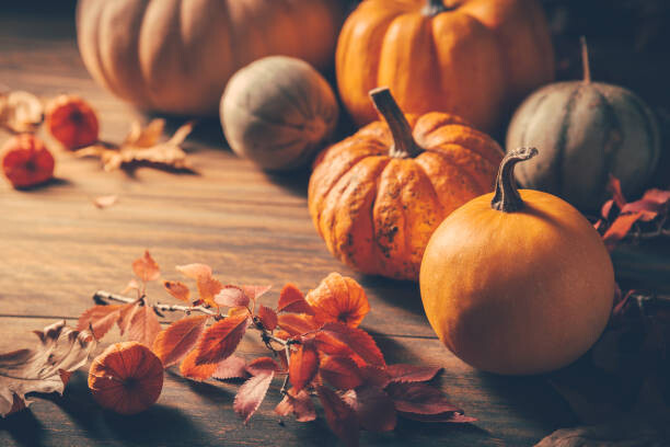Poster Pumpkins for Thanksgiving on wooden background